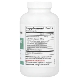 Real Mushrooms, 5 Defenders®, порошок с экстрактом грибов, 200 капсул