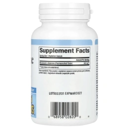 Natural Factors, Микронизированный L-глютамин, 500 мг, 90 вегетарианских капсул