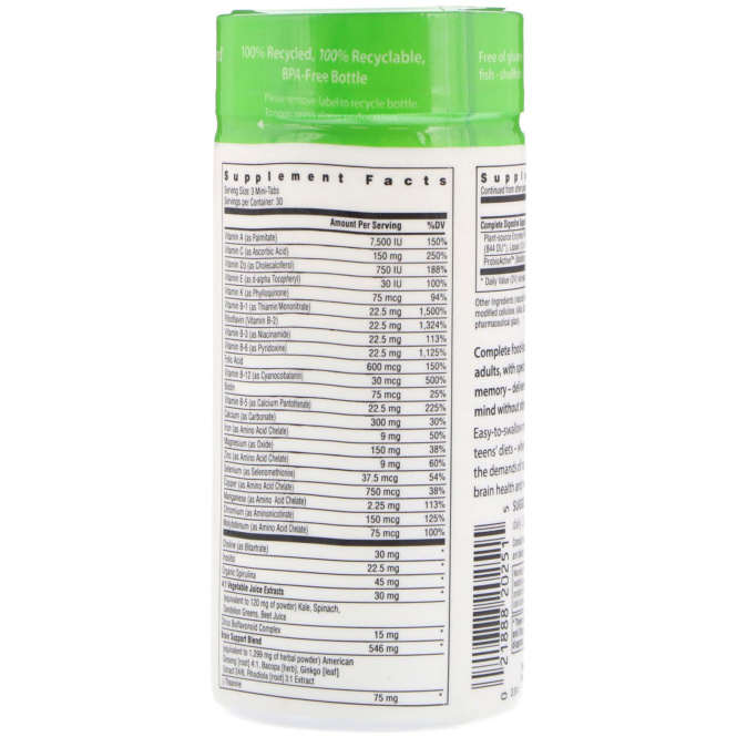 Rainbow Light, Brain & Focus для детей и взрослых, пищевой мультивитаминный комплекс, 90 мини таблеток