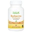 Super Nutrition, фитосомы берберина, 550 мг, 60 растительных капсул