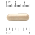 Vitacost, Synergy®, Adrenal Stress-Combat, 60 Capsules