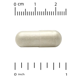 Super Nutrition, Think Support, с гинкго билоба, тюбетейкой, готу колой, бакопой и ферментами, 180 растительных капсул