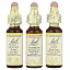 Bach, Original Flower Remedies, набор для поддержания психической энергии, эмоциональные взлеты и падения, 3 пипетки, по 10 мл (0,35 жидк. унц.)