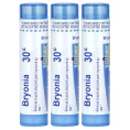 Boiron, Bryonia, обезболивающее, гранулы для рассасывания, 30C, 3 упаковки по 80 гранул