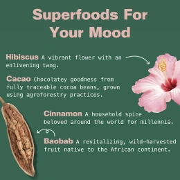 Kuli Kuli, Mood Magic, органический бодрящий суперпродукт, 170 г (6 унций)