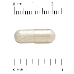 Super Nutrition, органический гриб рейши, 1 г, 60 растительных капсул (0,5 г в 1 капсуле)