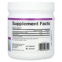 Natural Factors, Цитрат магния, смесь для приготовления напитка со вкусом тропических фруктов, 250 г (8,8 унции)