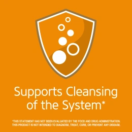 21st Century, травяной чай для похудения, апельсин и специи, без кофеина, 24 чайных пакетика, 48 г (1,7 унции)