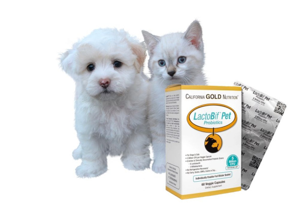 Здоровье питомцев