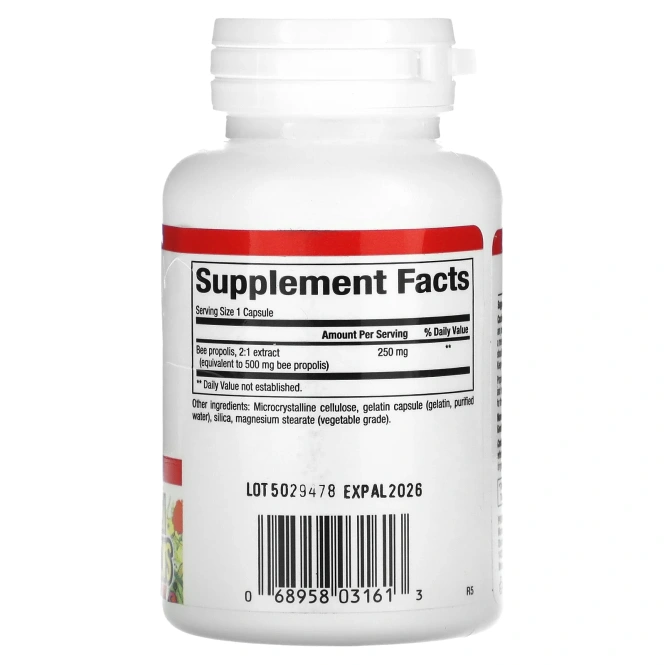 Natural Factors, Пчелиный прополис, 250 мг, 90 капсул