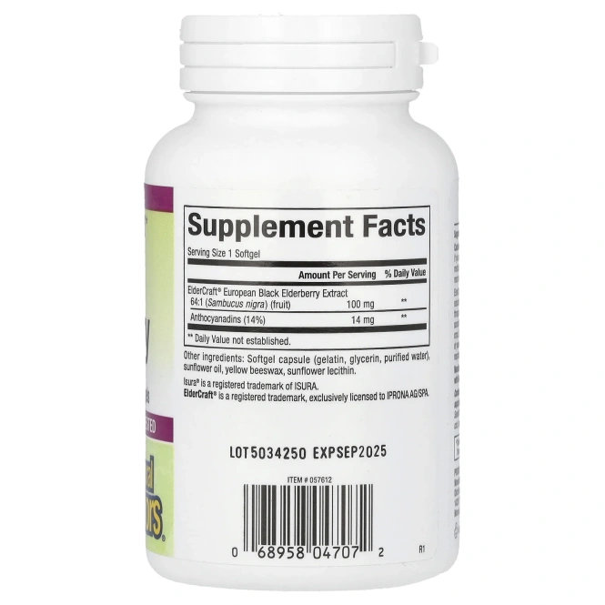 Natural Factors, черная бузина, 100 мг, 120 быстродействующих капсул