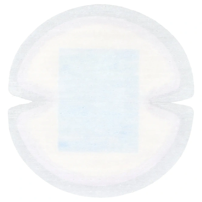 Lansinoh, кормящие прокладки Stay Dry, 200 прокладок в индивидуальной упаковке