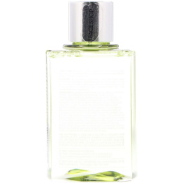 The Face Shop, Herb Day Lip & Eye Makeup Remover, Mild, 4.4 fl oz (130 ml)