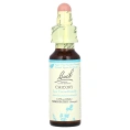 Bach, Original Flower Remedies, цикорий, 10 мл (0,35 жидк. унции)