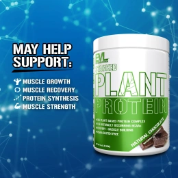 EVLution Nutrition, комплексный растительный протеин, со вкусом натурального шоколада, 300 г (0,66 фунта)