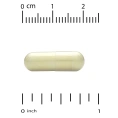Vitacost, Alpha Lipoic Acid, 600 mg, 60 Capsules