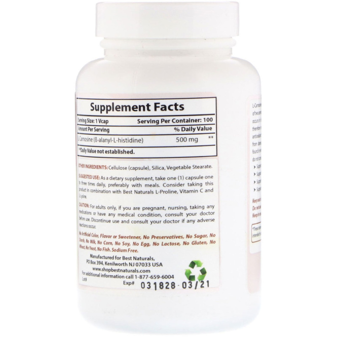 Best Naturals, L-Carnosine, 500 mg , 100 VCaps