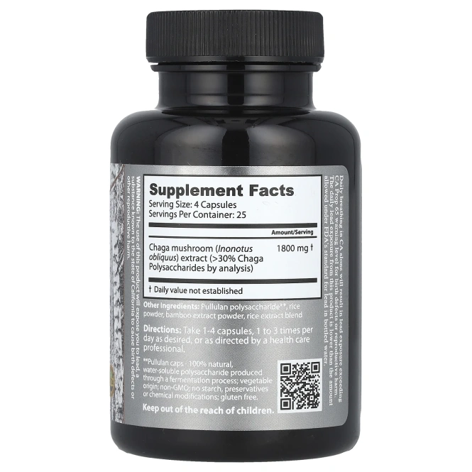 Dragon Herbs, Дикая сибирская чага, 500 мг, 100 капсул