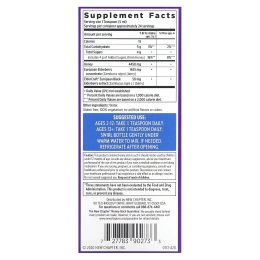 New Chapter, Сироп из бузины с медом, 118 мл (4 жидк. унц.)