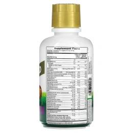 NaturesPlus, Children's Animal Parade Gold, жидкий мультивитаминный продукт, тропические ягоды, 473,18 мл (16 жидк. унц.)