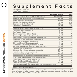 Codeage, Liposomal Mullein Ultra, липосомальный коровяк, 90 растительных капсул