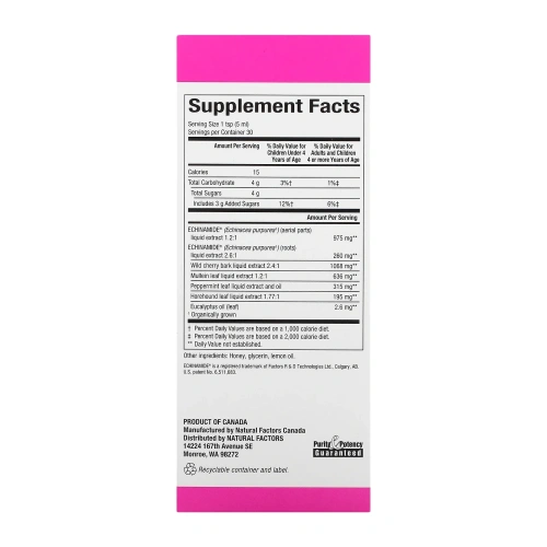 Natural Factors, Echinamide Active Support, Honey Lemon Syrup, 5 fl oz (150 ml)