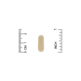 California Gold Nutrition, Agaricus Blazei (Himematsutake), 90 PlantCaps