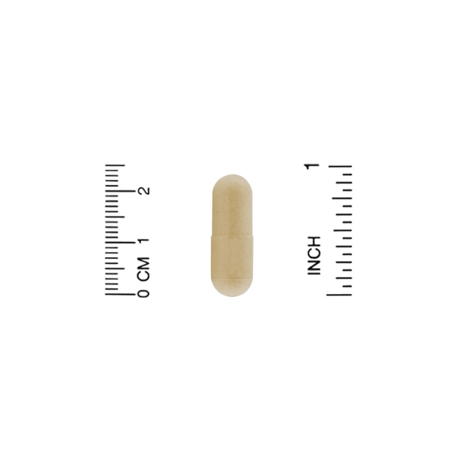 Organic India, амла, 90 вегетарианских капсул