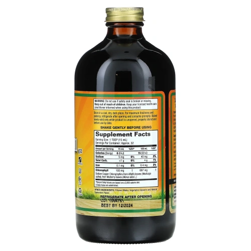 Dynamic Health, Хлорофилловая жидкость (100 мг) Натуральная мята 16 жидких унций