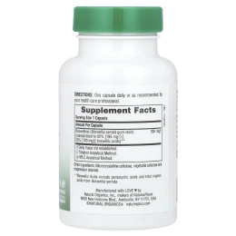 NaturesPlus, Herbal Actives, Boswellin®, 300 мг, 60 капсул