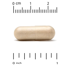 California Gold Nutrition, Оливковые листья XT EuroHerbs 500 mg, VC EM, 60 карат