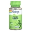Solaray, True Herbs, хмель, 340 мг, 100 вегетарианских капсул