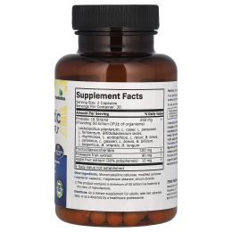 Futurebiotics, пробиотики с пребиотиками, 50 млрд КОЕ, 60 вегетарианских капсул (25 млрд КОЕ в 1 капсуле)