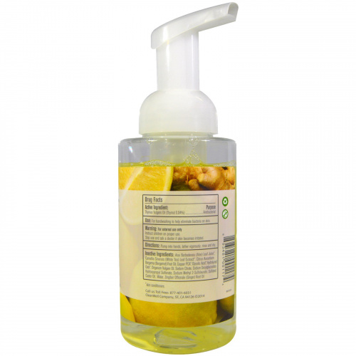 CleanWell, Полностью натуральное антибактериальное, пенящееся мыло для рук, имбирь и бергамот, 9.5 жидких унций (280 мл)