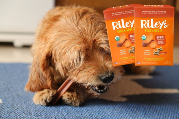 Натуральные лакомства для собак своими руками