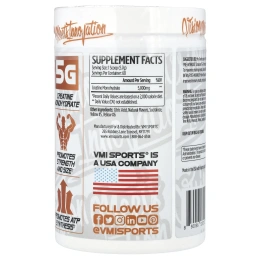 VMI Sports, Моногидрат креатина, персик и манго, 342 г (12,1 унции)