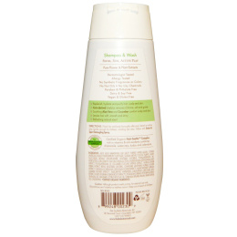 Babo Botanicals, Swim & Sport Shampoo & Wash, with Soothing Cucumber & Aloe Vera, 8 fl oz (237 ml)