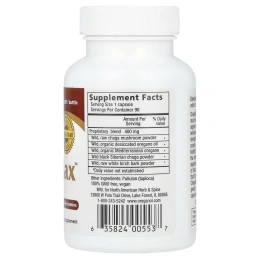 North American Herb & Spice Co., Сырой ChagaMax, 90 растительных капсул