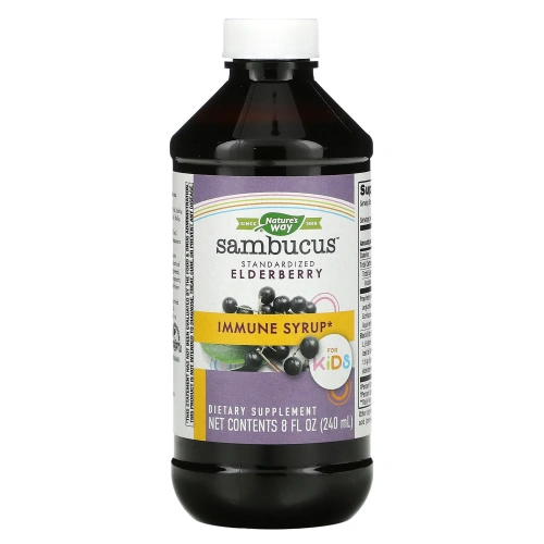 Nature's Way, Sambucus For Kids, Standardized Elderberry, Original Syrup, 8 fl oz (240 ml)