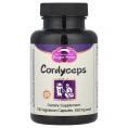 Dragon Herbs, Кордицепсы, 500 мг, 100 вегетарианских капсул