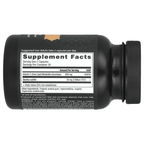 Dr. Axe / Ancient Nutrition, Ancient Nutrients, витамин C + пробиотики, 60 капсул