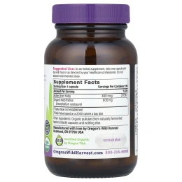Oregon's Wild Harvest, Бурая водоросль, 90 растительных капсул без ГМО