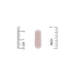 ZOI Research, Поддержка уровня пробиотиков при ИМП, 60 растительных капсул