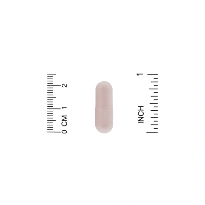 ZOI Research, Поддержка уровня пробиотиков при ИМП, 60 растительных капсул