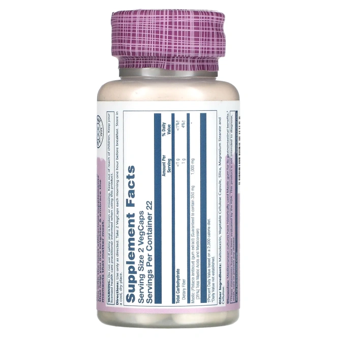 Solaray, Экстракт мастиковой смолы, 500 мг, 45 вегетарианских капсул