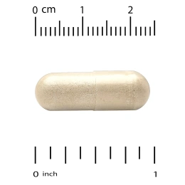 Super Nutrition, органический гриб чага, 1 г, 60 растительных капсул (0,5 г в 1 капсуле)