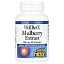 Natural Factors, WellBetX, мультиягодный экстракт, 100 мг, 90 капсул