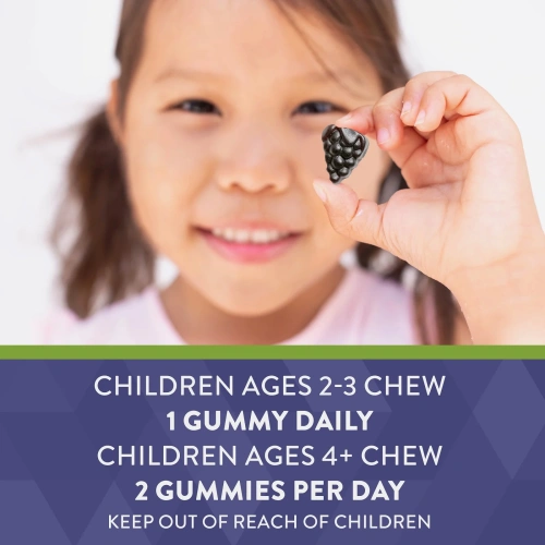 Nature's Way, Sambucus Gummies for Kids Standardized Elderberry, 60 Gummies