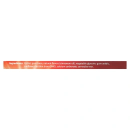 Xyloburst, полностью натуральная ксилитоловая камедь, со вкусом корицы, 12 шт.