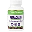 Paradise Herbs, Астрагал, 60 вегетарианских капсул